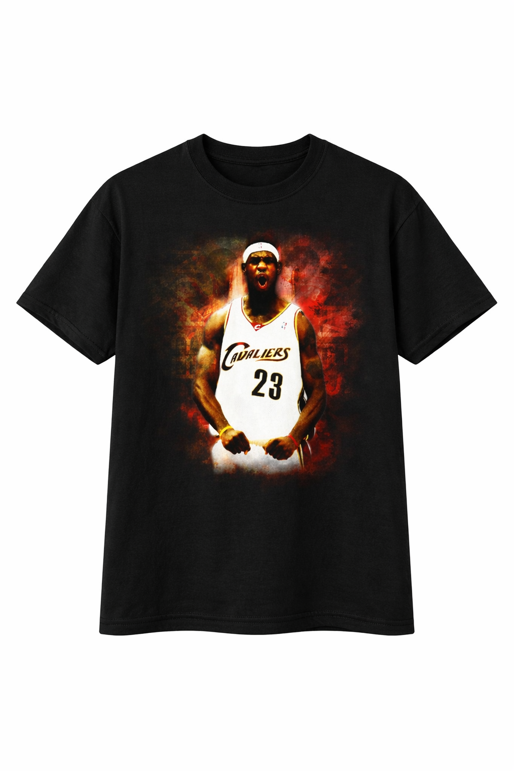 lebron james t-shirt